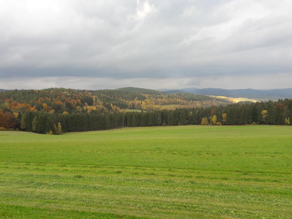 Lipno Lake House Přední Výtoň Zewnętrze zdjęcie